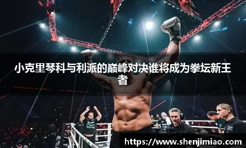 U8小克里琴科与利派的巅峰对决谁将成为拳坛新王者